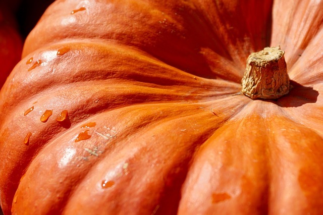 what is samhain and why do we celebrate it?
