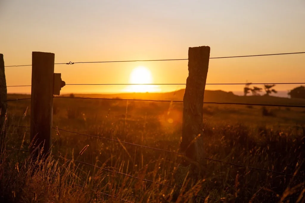 quick tips to create healthy boundaries