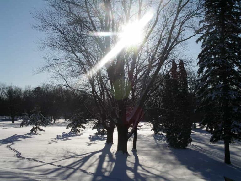 Prepare Your Sacred Space for the Winter Solstice